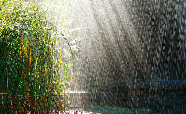 Mơ Thấy Trời Mưa Là Điềm Gì? Giải Mã Giấc Mơ Và Con Số Tài Lộc